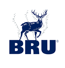 BRU WATER KOOLZUURVRIJ 6 X 75 CL